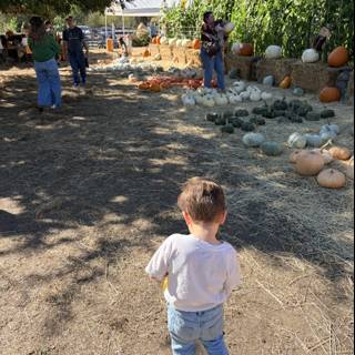 Autumn Adventures in Santa Rosa
