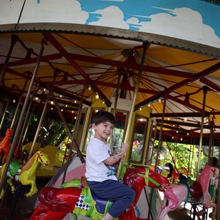 Child Riding Colorful Carousel Dragon at Fantasyland