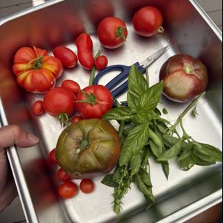 Garden Fresh Harvest