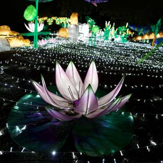 Glowfari Magic: The Radiant Lotus of Oakland