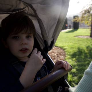Curious Moments at Thistlewyck