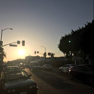 Sunset Drive in LA