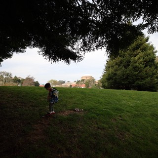 Child Exploring Park Under Overcast Sky