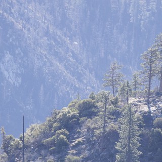 Forest Fire Aftermath in Smoky Mountain Valley