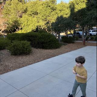 Stroll Through Carmel's Serenity
