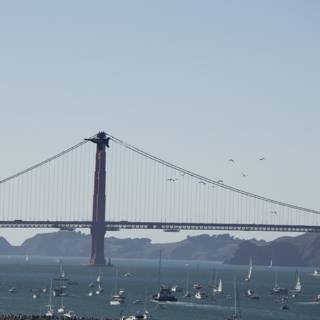Breathtaking Bridges at Fleet Week Air Show, 2023
