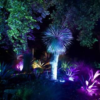 Enchanted Night in the Garden