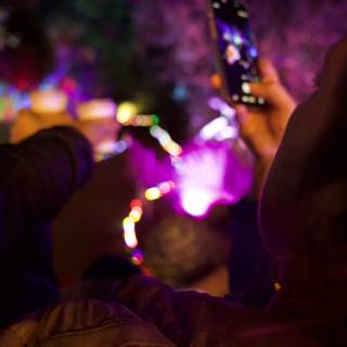 Illuminated Moments at Garden of D'Lights