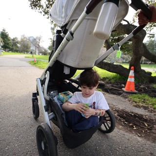 Child Playing with Toy While Walking in Stroller