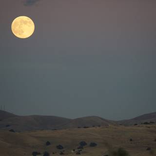 Moonlit Elegance Over Walnut Creek