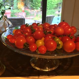 A Bountiful Harvest of Homegrown Tomatoes