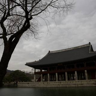 Majestic Monastery: A Beacon of Serenity in Korea, 2024