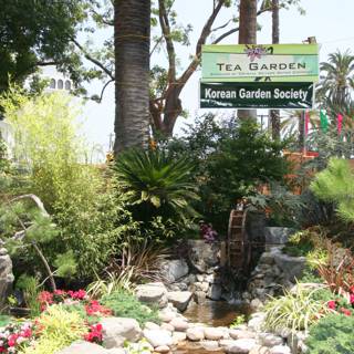Tea Garden Oasis
