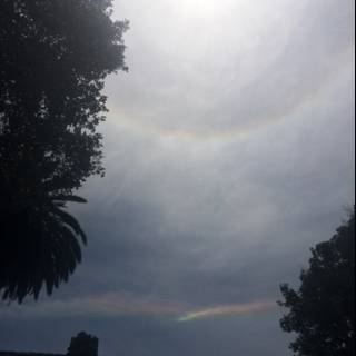 Rainbow Halo in the Altadena Sky