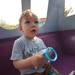Toddler Looking Up in Wonder at Playground