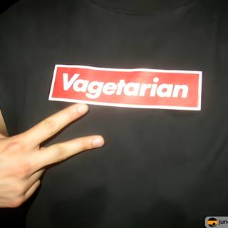 Vegetarianism in Fashion