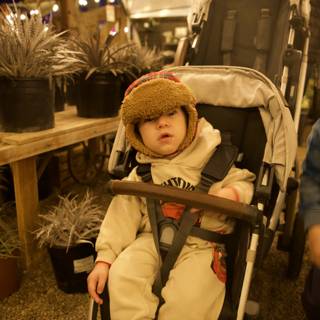 Little Adventurers in the Garden of D'Lights