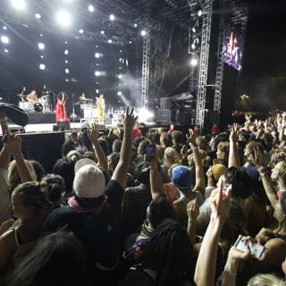 Energized Crowd at FYF Bullock 2015 Concert