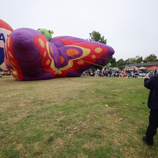 Giant Butterfly Balloon Inflating at Hot Air Festival
