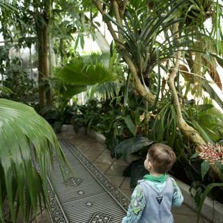 A Walk Through Greenery: Baby Boy's Adventure in the Conservatory