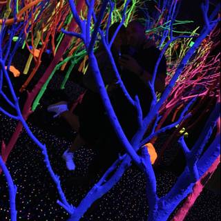 Clubbing Under Neon Trees