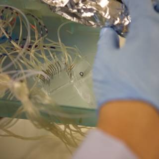 Blue Gloved Person Handling Wires in Micro Bio Chip Lab