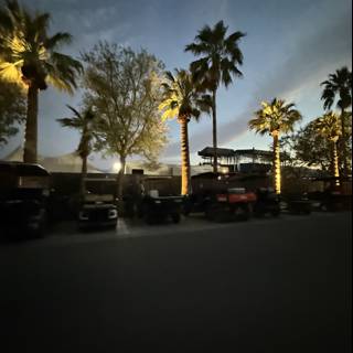 Twilight Under the Palms
