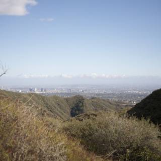 Overlooking the Hillside Cityscape