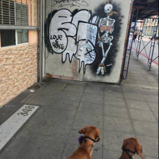 City Dogs Strolling by Graffiti Building