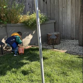 Backyard Discovery