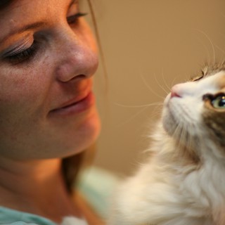 Tender Moment Between Woman and Fluffy Cat