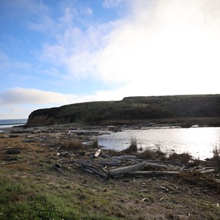 Coastal Wetland at Drakes Beach with Dramatic Headland