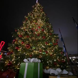 Festive Christmas Tree at PIER 39