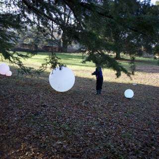 Enchanted Afternoon at Thistlewyck