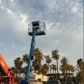 Urban Machinery Amidst the Palms