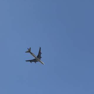Skyward Bound Over Los Angeles