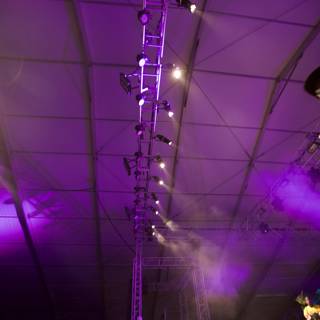 Purple Haze Man on Stage