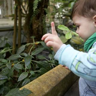 Touch of Nature: Exploration in the Gardens