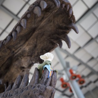 Tiny Chef Meets Dinosaur: An Unexpected Encounter