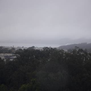 City in the Fog: A Hillside Perspective