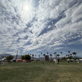 Desert Skies and Palm Trees