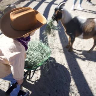 Cowboy Adventures at Carmel Valley Ranch