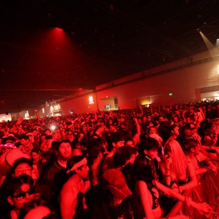 Sea of Red: Wobbleland 2026 Festival Crowd Surge