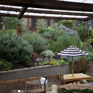 Cozy Backyard Garden Patio with Lush Plantings