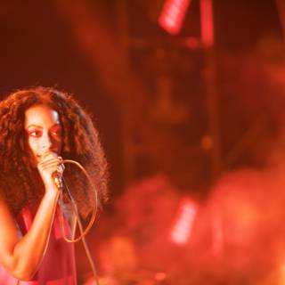 Solange Takes the Stage at FYF Bullock 2015