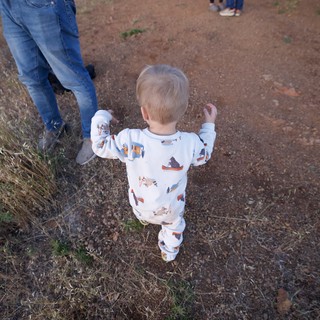 Toddler Explores Dusty Trail at Mount Diablo
