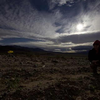 barren