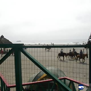 Horses Gallop Along the Ensenada Shoreline