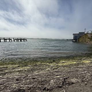 Tranquil Moments at Bodega Bay