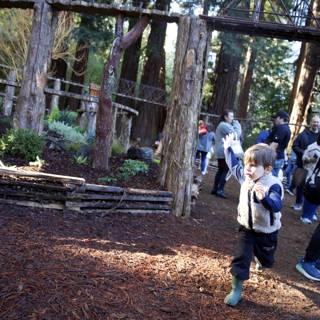 Exploring the Woodland Wonders